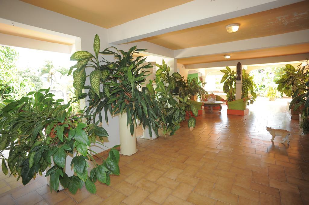 Au Domaine Des Bougainvilliers Villa Sainte-Rose Exteriör bild